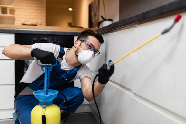 Best Flea Control Services  in Cypress Gardens, FL