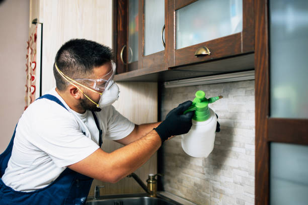 Best Best Pest Control Companies  in Cypress Gardens, FL
