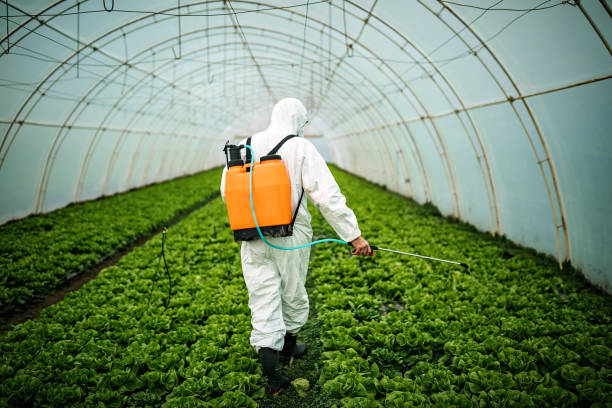 Best Pest Inspection Near Me  in Cypress Gardens, FL