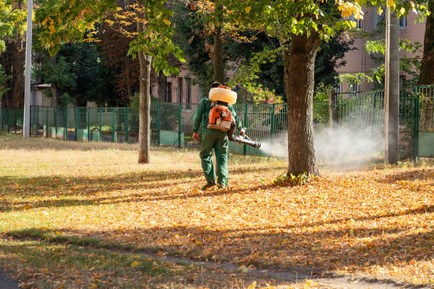 Best Affordable Pest Control Services  in Cypress Gardens, FL